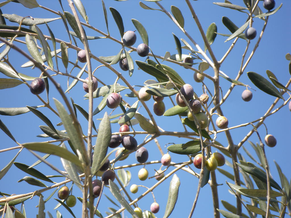 הוילה מאסה מריטימה Prato A Baldo מראה חיצוני תמונה